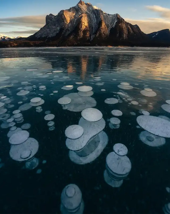    1 -        