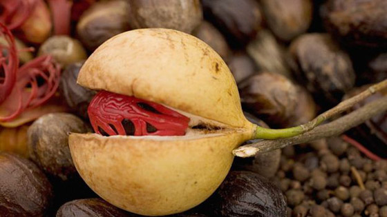 5 أطعمة يمكن أن تصيبك بالمرض أو تتسبب في وفاتك.. فاحذرها! صورة رقم 9