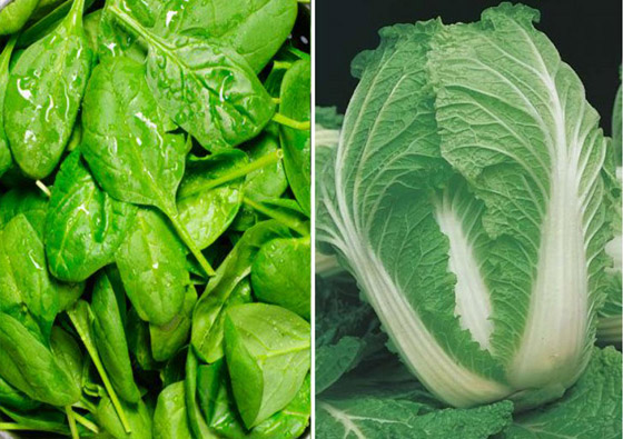 إليكم قائمة أفضل العناصر الغذائية التي لا غنى عنها مع التقدم في العمر صورة رقم 11 إليكم قائمة أفضل العناصر الغذائية التي لا غنى عنها مع التقدم في العمر صورة رقم 11