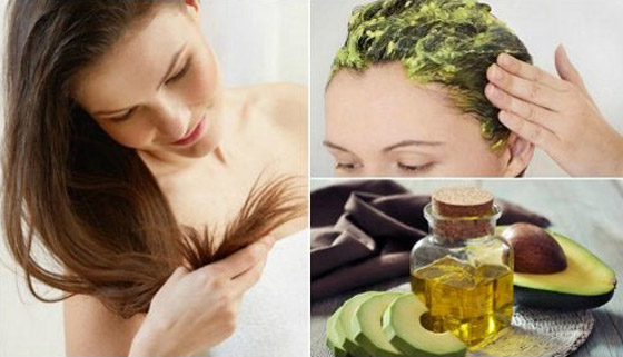 ماسكات الأفوكادو للحفاظ على جمال الشعر والتخلص من تلفه ومشاكله صورة رقم 7 ماسكات الأفوكادو للحفاظ على جمال الشعر والتخلص من تلفه ومشاكله صورة رقم 7
