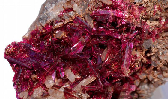 بعيدا عن السكر.. بدائل جيدة من محليات طبيعية بسعرات حرارية أقل صورة رقم 2