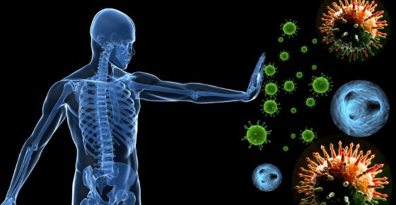 بخطوات بسيطة.. كيف تقوي جهازك المناعي ليقاوم الفيروسات؟ صورة رقم 6