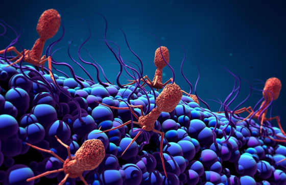 بخطوات بسيطة.. كيف تقوي جهازك المناعي ليقاوم الفيروسات؟ صورة رقم 7