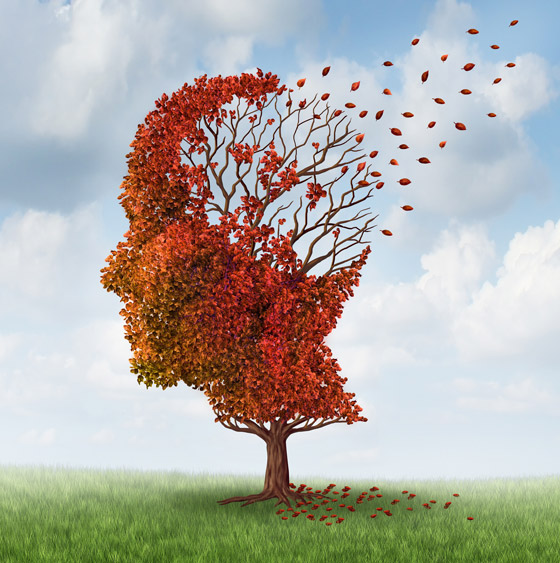 دراسة: بروتين طبيعي في أدمغتنا يحمينا من مرض ألزهايمر! صورة رقم 3