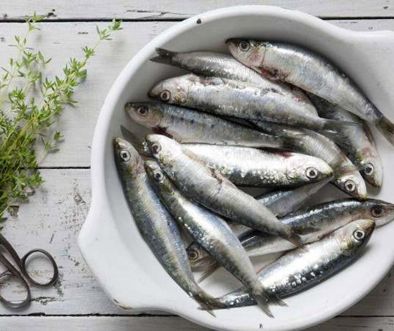 إذا كنت تعاني هشاشة العظام... إليك هذه الأغذية والأطعمة لمقاومته! صورة رقم 1