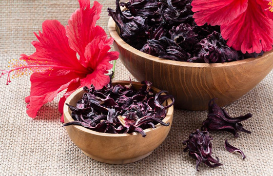 فوائد الكركديه لمعالجة تساقط الشعر وتعزيز نموه صورة رقم 1