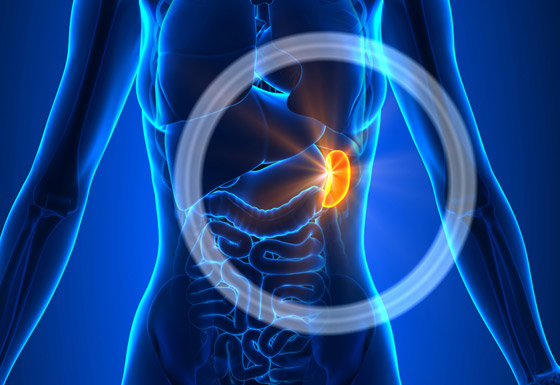 لا تتجاهلها.. أعراض تدل على التهاب الطحال تستلزم استشارة الطبيب فورا! صورة رقم 1