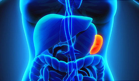 لا تتجاهلها.. أعراض تدل على التهاب الطحال تستلزم استشارة الطبيب فورا! صورة رقم 5