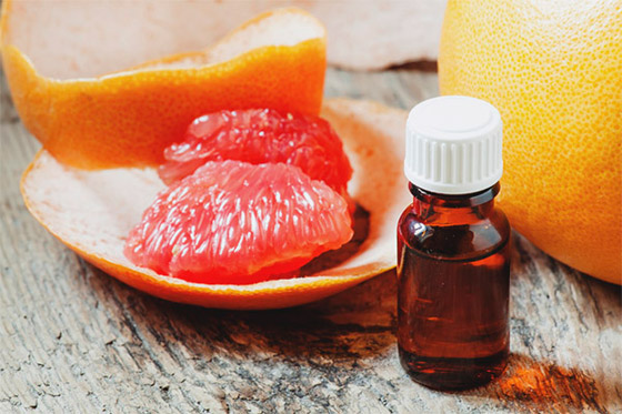 8 مضادات حيوية توفرها الطبيعة الأم...احرص على تناولها صورة رقم 3