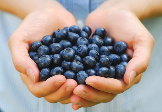 كيف تتخلص من دهون البطن (الكرش)؟ السر في 12 طعاما لذيذا! صورة رقم 10