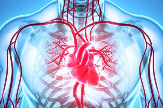 7 فوائد علاجية لزيت الحبة السوداء صورة رقم 7