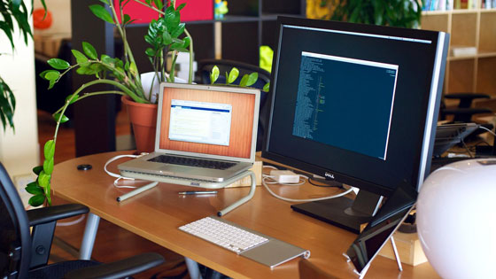 النباتات المكتبية يمكن أن تقلل من الإجهاد في العمل صورة رقم 7 النباتات المكتبية يمكن أن تقلل من الإجهاد في العمل صورة رقم 7