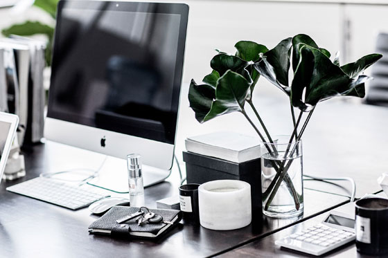 النباتات المكتبية يمكن أن تقلل من الإجهاد في العمل صورة رقم 8 النباتات المكتبية يمكن أن تقلل من الإجهاد في العمل صورة رقم 8