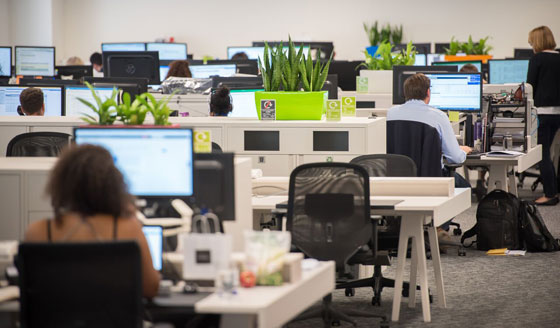 النباتات المكتبية يمكن أن تقلل من الإجهاد في العمل صورة رقم 6 النباتات المكتبية يمكن أن تقلل من الإجهاد في العمل صورة رقم 6