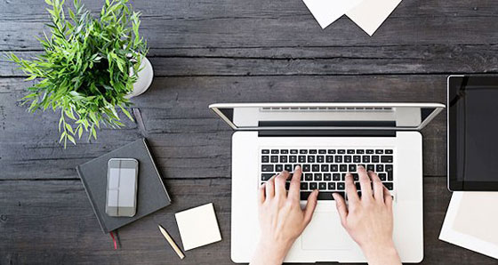 النباتات المكتبية يمكن أن تقلل من الإجهاد في العمل صورة رقم 11 النباتات المكتبية يمكن أن تقلل من الإجهاد في العمل صورة رقم 11