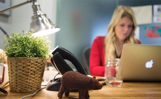 النباتات المكتبية يمكن أن تقلل من الإجهاد في العمل صورة رقم 12 النباتات المكتبية يمكن أن تقلل من الإجهاد في العمل صورة رقم 12