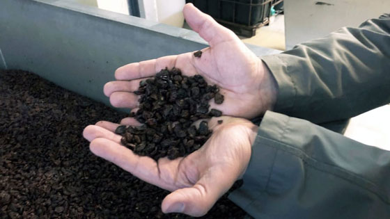 إنتاج أغلى زجاجة نبيذ في العالم... كيف صٌنعت؟ صورة رقم 5 إنتاج أغلى زجاجة نبيذ في العالم... كيف صٌنعت؟ صورة رقم 5