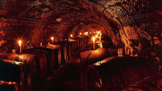 إنتاج أغلى زجاجة نبيذ في العالم... كيف صٌنعت؟ صورة رقم 10 إنتاج أغلى زجاجة نبيذ في العالم... كيف صٌنعت؟ صورة رقم 10