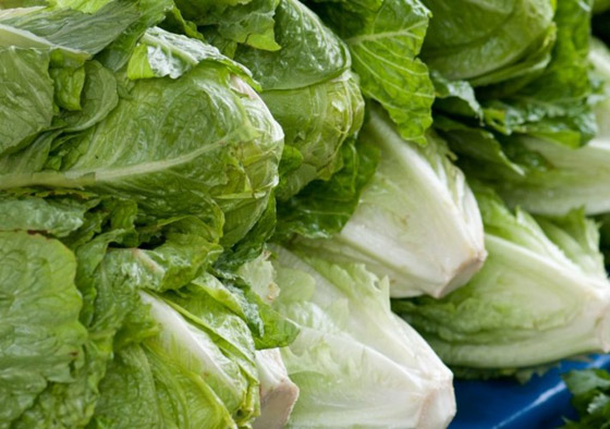 الخس والجزر يحتويان على مادة 