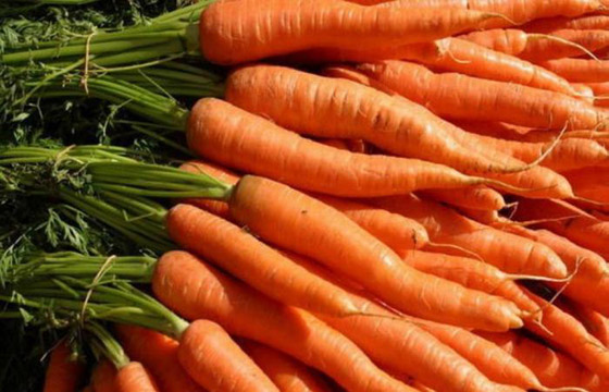 الخس والجزر يحتويان على مادة 