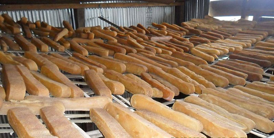 بالفيديو.. تعرفوا إلى أقسى جبنة في العالم في أعلى جبال الهيمالايا صورة رقم 2 بالفيديو.. تعرفوا إلى أقسى جبنة في العالم في أعلى جبال الهيمالايا صورة رقم 2