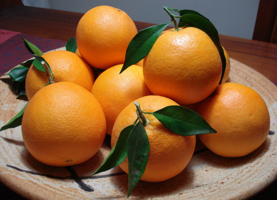 إليكم الأطعمة التي يمكن تناولها في أي وقت وبأي كمية دون زيادة بالوزن صورة رقم 8 إليكم الأطعمة التي يمكن تناولها في أي وقت وبأي كمية دون زيادة بالوزن صورة رقم 8