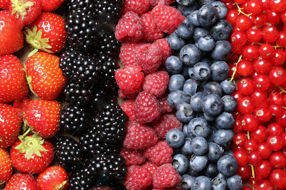 فوائد التوت البري.. خارقة من دون شك تجعلك تتناولها باستمرار صورة رقم 10