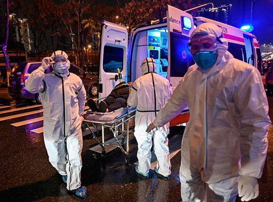 روسيا تبدأ اختبار أول لقاح ضد فيروس كورونا القاتل على الحيوانات صورة رقم 28 روسيا تبدأ اختبار أول لقاح ضد فيروس كورونا القاتل على الحيوانات صورة رقم 28