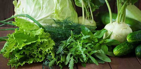 للوقاية من مرض ألزهايمر.. عليك بهذا النظام الغذائي صورة رقم 7