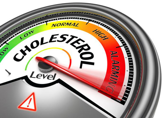 أبرز الخرافات والشائعات المنتشرة عن الكوليسترول التي يصدقها الكثيرون صورة رقم 6 أبرز الخرافات والشائعات المنتشرة عن الكوليسترول التي يصدقها الكثيرون صورة رقم 6