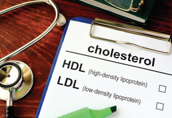 أبرز الخرافات والشائعات المنتشرة عن الكوليسترول التي يصدقها الكثيرون صورة رقم 11 أبرز الخرافات والشائعات المنتشرة عن الكوليسترول التي يصدقها الكثيرون صورة رقم 11