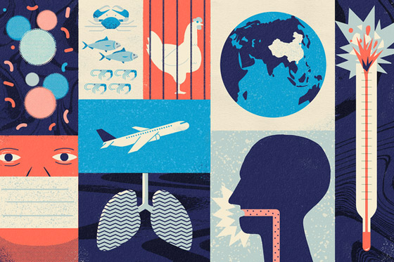 وفاة الطبيب الصيني الذي حذر من فيروس كورونا وهددته الشرطة ليصمت! صورة رقم 17