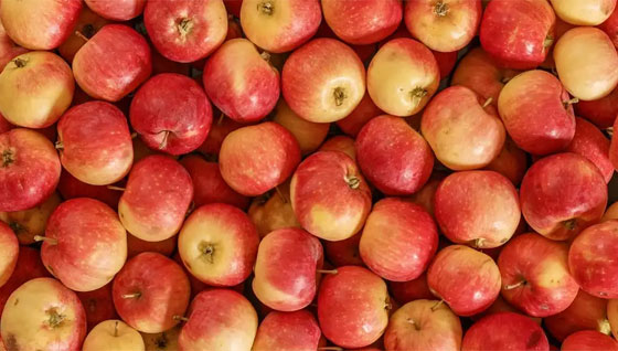 الفراولة.. وأكلات حمراء لمقاومة الاكتئاب صورة رقم 2 الفراولة.. وأكلات حمراء لمقاومة الاكتئاب صورة رقم 2