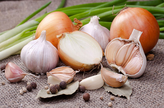 5 أطعمة لا تتناولها الملكة وتمنع تقديمها للعائلة الملكية البريطانية! صورة رقم 2 5 أطعمة لا تتناولها الملكة وتمنع تقديمها للعائلة الملكية البريطانية! صورة رقم 2