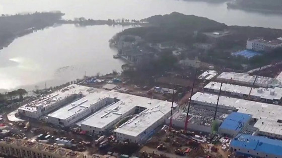 كيف يهاجم فيروس كورونا الجديد جسم الإنسان؟ صورة رقم 21