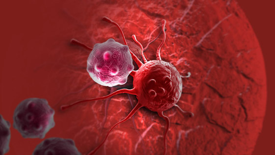 في اليوم العالمي للسرطان.. أبرز الخرافات والأساطير بشأن الإصابة به ومسبباته صورة رقم 6