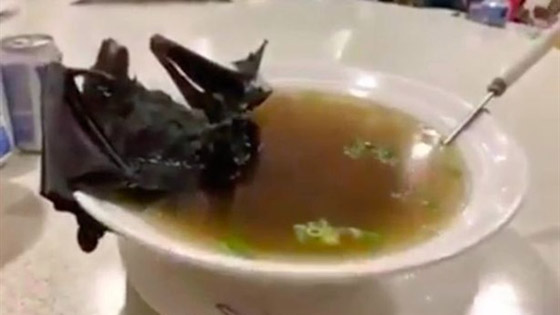 5 أبرز خرافات وشائعات حول فيروس كورونا صورة رقم 4