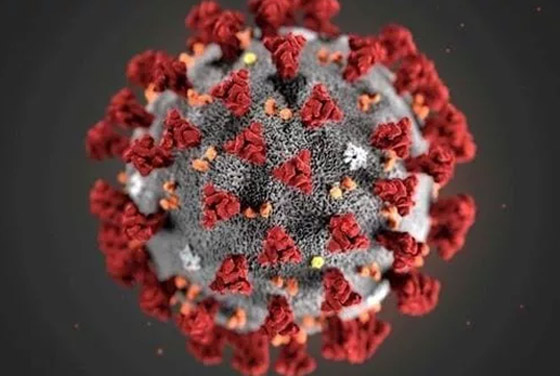 وفاة الطبيب الصيني الذي حذر من فيروس كورونا وهددته الشرطة ليصمت! صورة رقم 13