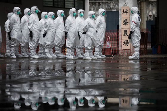 فيروس كورونا: التفشي بلغ مرحلة حرجة وقد يتحول إلى وباء شامل! صورة رقم 26