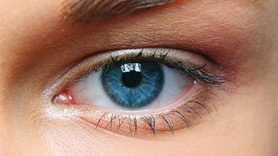 شكل ولون العين.. أسرار عن مشاكل صحية وطباع شخصية صورة رقم 7