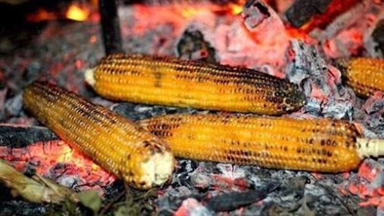 فوائد الذرة المشويّة وقيمتها الغذائية صورة رقم 5