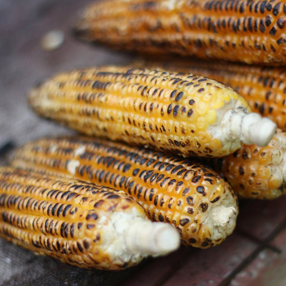 فوائد الذرة المشويّة وقيمتها الغذائية صورة رقم 2