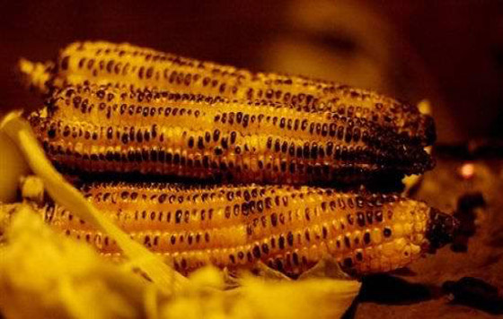 فوائد الذرة المشويّة وقيمتها الغذائية صورة رقم 4