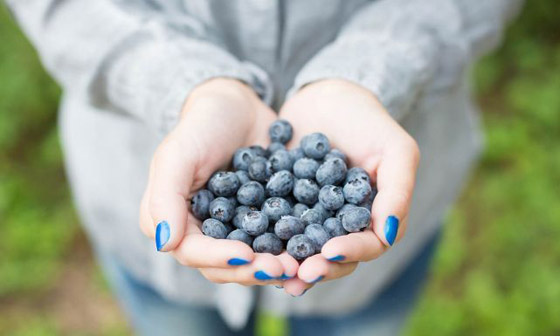 أغذية ينصح بها الأطباء للحماية من السرطان ولتحسين الصحة صورة رقم 5