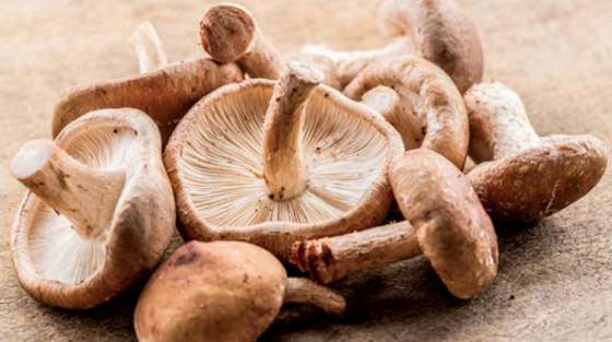 أغذية ينصح بها الأطباء للحماية من السرطان ولتحسين الصحة صورة رقم 9