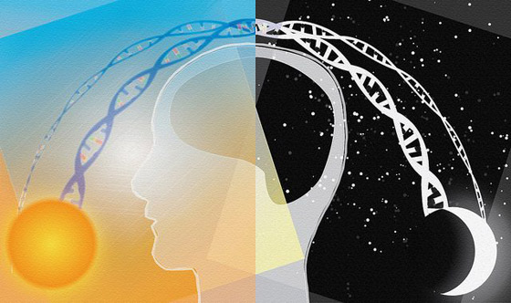 الساعة البيولوجية لجسم الإنسان، تعرفوا عليها قد تهمكم صورة رقم 4