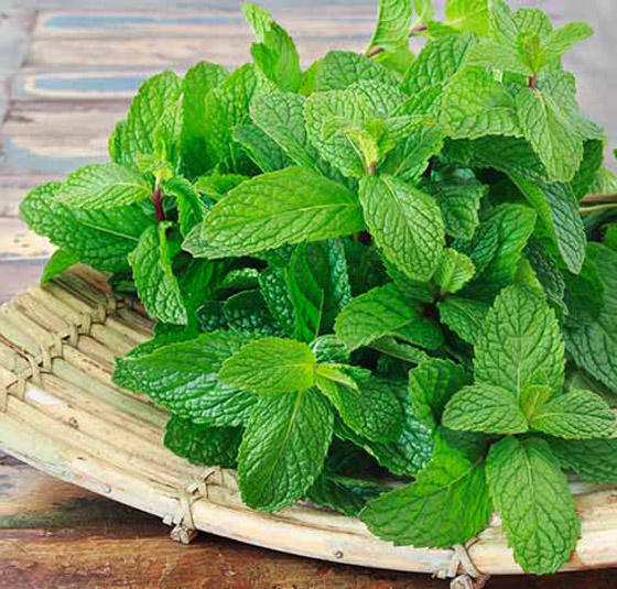 هذه الأوراق الخضراء تساعد في إنقاص وزنك صورة رقم 1