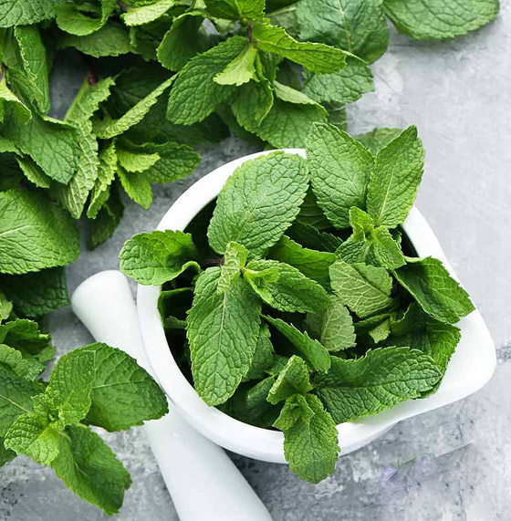 هذه الأوراق الخضراء تساعد في إنقاص وزنك صورة رقم 5