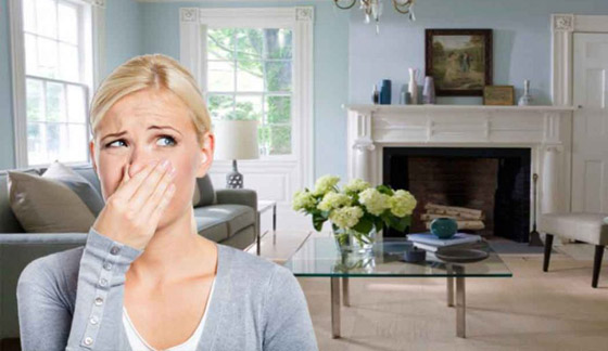 طرق للتخلص من رائحة الطعام في المنزل صورة رقم 2 طرق للتخلص من رائحة الطعام في المنزل صورة رقم 2