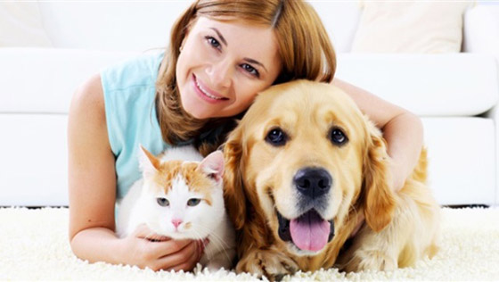 الحيوانات الأليفة تمنحك صحة أفضل صورة رقم 2